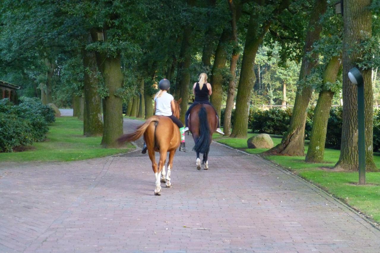 Grosse Ferienwohnung, Auf Bauernhof Mit Ponys Und Pferden, Laendlich Und Ruhig, Naehe Duemmer See Holdorf المظهر الخارجي الصورة